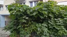 Kontorshotell att hyra, Vänersborg, &lt;span class=&quot;blurred street&quot; onclick=&quot;ProcessAdRequest(517086)&quot;&gt;&lt;span class=&quot;hint&quot;&gt;Se gatunamn&lt;/span&gt;[xxxxxxxxxx]&lt;/span&gt;
