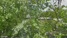 Fastighet till salu, Hultsfred, Rosenfors, Missionsgatan<span class="blurred street-number" onclick="ProcessAdRequest(599763)"><span class="hint">Se väg-nr</span>[xxxxxxxx]</span>
