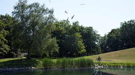 Affärslokaler att hyra i Malmö Centrum - foto 9