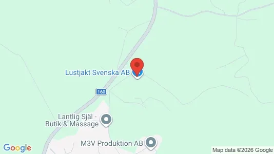 Affärslokaler att hyra i Uddevalla - Bild från Google Street View