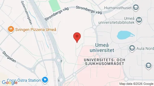 Affärslokaler att hyra i Umeå - kort over placeringen
