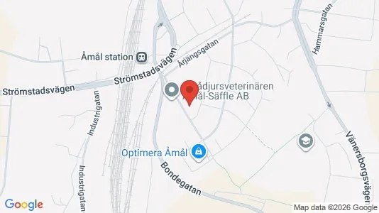 Bostadsfastigheter till försäljning i Åmål - kort over placeringen