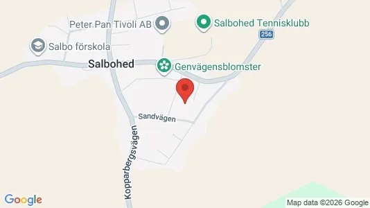 Bostadsfastigheter till försäljning i Sala - Bild från Google Street View
