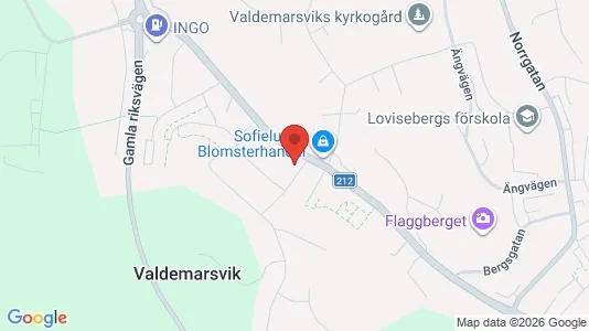 Affärslokaler till försäljning i Valdemarsvik - kort over placeringen