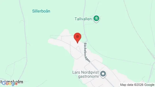 Affärslokaler till försäljning i Ljusdal - kort over placeringen