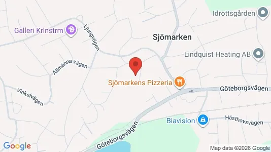 Affärslokaler att hyra i Borås - kort over placeringen