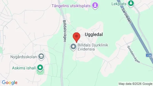 Affärslokaler att hyra i Askim-Frölunda-Högsbo - Bild från Google Street View