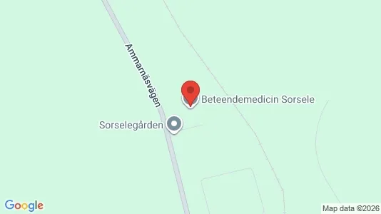Affärslokaler till försäljning i Sorsele - kort over placeringen