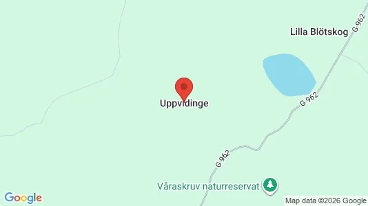 Restauranglokaler att hyra i Uppvidinge - Bild från Google Street View
