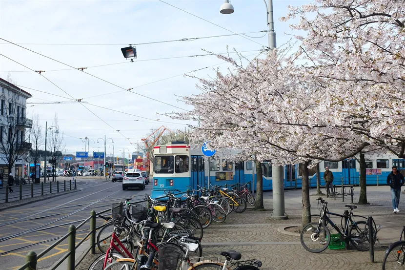 Göteborgs näringsliv: En stark bas för tillväxt